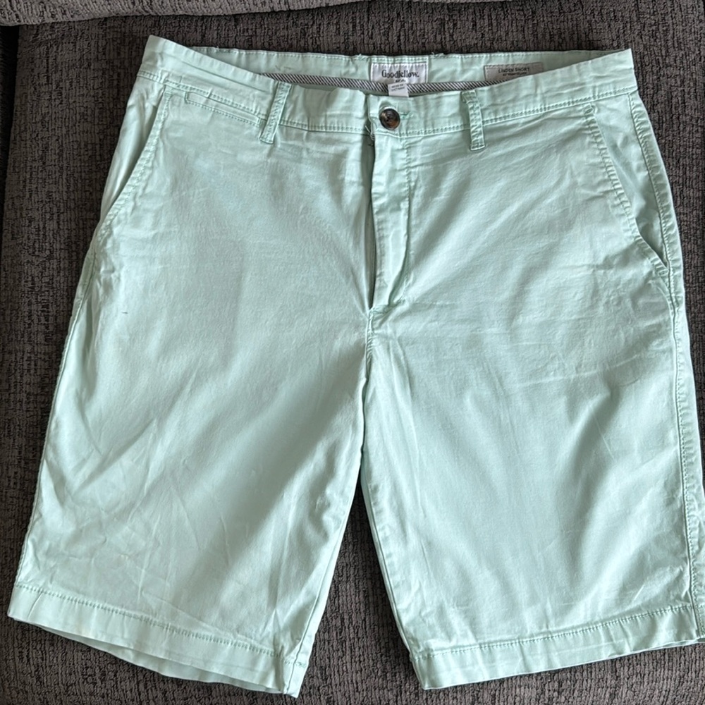 Goodfellow | Size 34 Mens Mint Green Linden Cotton Shorts Summer Preppy Vacation